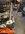 IMG_8536.jpeg