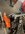 IMG_8537.jpeg