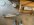IMG_8539.jpeg