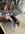 IMG_8550.jpeg