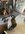 IMG_8551.jpeg