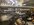 IMG_8553.jpeg