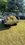 IMG_5086.jpeg