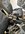 IMG_2782.jpeg