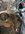 IMG_2784.jpeg