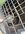 IMG_2787.jpeg