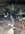 IMG_7255.jpeg