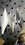 IMG_9132.jpeg