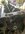 IMG_8571.jpeg