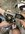 IMG_9110.jpeg