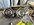 IMG_9105.jpeg