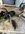 IMG_9116.jpeg