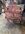 IMG_1045.jpeg