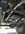 IMG_8811.jpeg