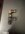 IMG_2798.jpeg
