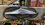 IMG_9141.jpeg