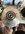 IMG_9181.jpeg