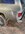 BAC7B690-5B94-4D13-BA19-46EFCAE30D85.jpeg