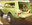 IMG_6251.jpeg