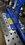 IMG_9146.jpeg