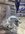 IMG_5636.jpeg
