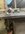 IMG_8620.jpeg