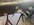 IMG_8631.jpeg