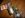 12 30 07  1157 Bulbs 002 (Small).jpg