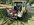 IMG_8402.jpeg