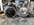 IMG_9261.jpeg