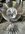 IMG_9260.jpeg