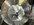IMG_9263.jpeg