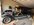 IMG_8457.jpeg