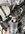 IMG_7184.jpeg