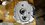 IMG_9196.jpeg