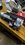 IMG_9198.jpeg