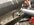 IMG_8649.jpeg