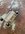 IMG_8648.jpeg