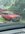 IMG_4445.jpeg