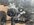 IMG_4494.jpeg