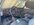 IMG_0784.jpeg