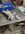 IMG_8667.jpeg