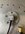 IMG_8674.jpeg