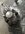 IMG_8676.jpeg