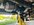 IMG_9242.jpeg