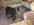 IMG_9224.jpeg