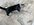 IMG_9232.jpeg