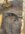 IMG_9228.jpeg