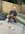 IMG_9249.jpeg