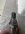 IMG_7232.jpeg